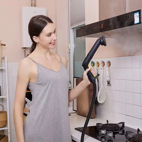 Stainless Steel Electric Sofa Steam Cleaner