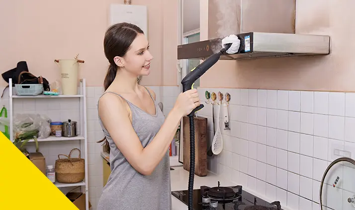 2000w Multipurpose Household Steamer Cleaning Machine