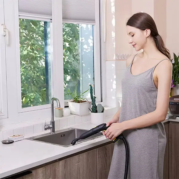 Handheld Electric Sofa Steam Cleaner