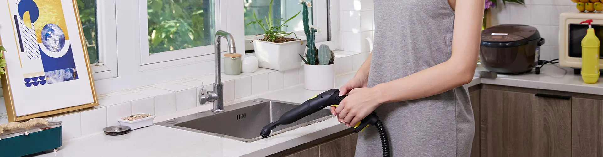 AMARE vs Karcher: A Comparison of User Satisfaction with 1800W Steam Cleaners in Europe and America